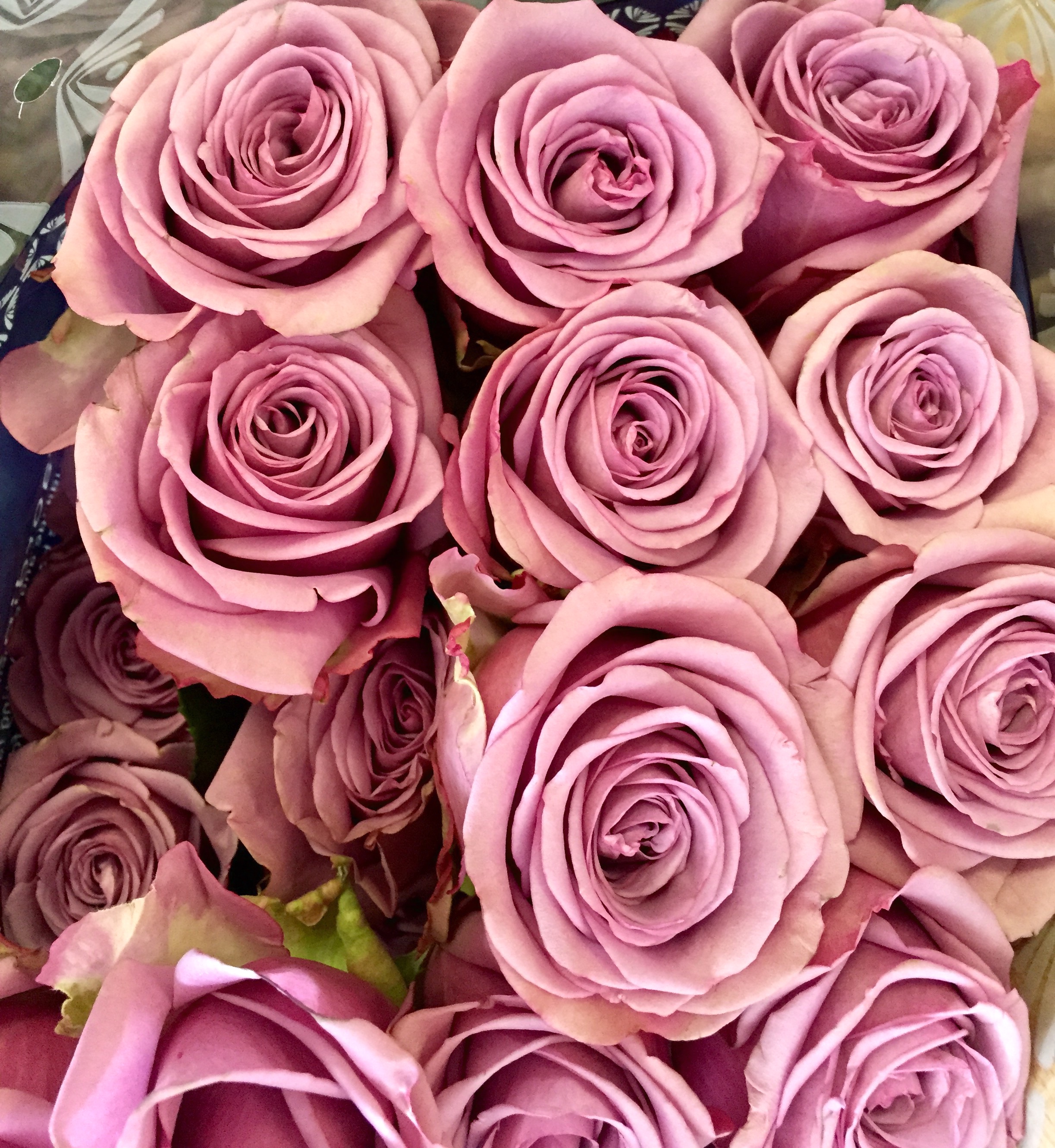 We always carry Rosaprima Roses. Nothing but the best for our customers ...