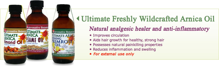 Arnica Botanical Oils - freshly wildcrafted, raw and organic
