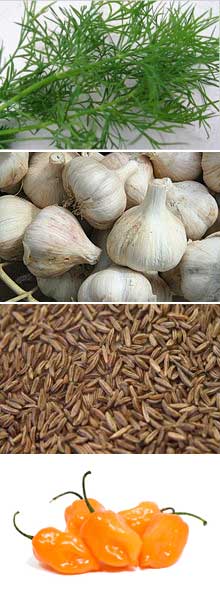 health-benefits-garlic-caraway-dill-peppers.jpg