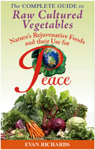 raw-cultured-vegetables-book.jpg