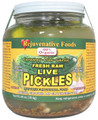Organic Raw Fresh Live Probiotic-Enzyme Cultured Pickles Rejuvenative Foods Dill-Caraway-Garlic 100%-USDA-Certified-Organic Pure-Flora In-Glass Fermented Cucumber Vitamin-Antioxidant-Nutrition (free insulation with ice-packs)