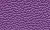 ColorGuard Purple Iris