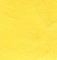 Key West Bright Yellow