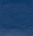 Key West Ocean Blue