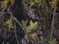 Mossy Oak New Breakup Camouflage Flat Knit Headliner 