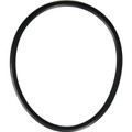 U9-161 Trap Lid O-Ring for Sta-Rite/Pentair Pool Pumps, O-19