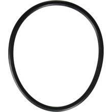 U9-161 Trap Lid O-Ring for Sta-Rite/Pentair Pool Pumps, O-19