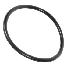 60-828-715 Lid O-Ring for Swimrite Pool Pumps, O-19