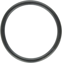 805-0113V   In Line Chlorinator Viton® O-ring (New Style) For Waterway