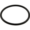 174704    Mytilus, Turbo, Star Tank O-ring For Pac Fab®