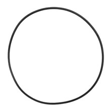 395004	AMERICAN	Seal Plate O-ring (Before 1975)