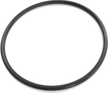 308-1043	DOUGHBOY	Stariner Body O-ring