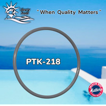 U9-229	STA RITE	Dura Glass Pump Lid O-ring JWPA Series