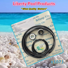 PAC FAB CHALLENGER®/PINNACLE™
PUMP REPAIR KIT