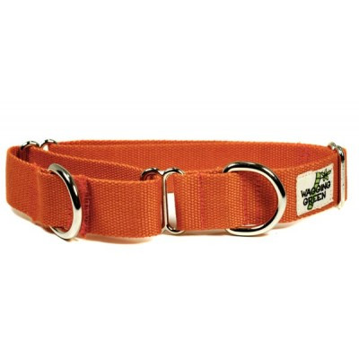 martingale training collar