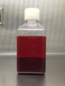 Premium Defibrinated Horse Blood 500ml