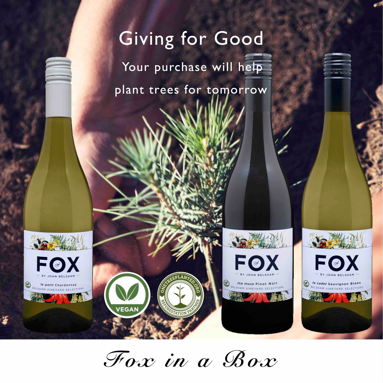Fox Wines