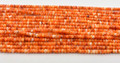 Orange Spiny Oyster 4mm