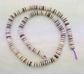 Wampum Shell Beads 