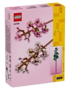 40725 Botanicals - Cherry Blossoms
