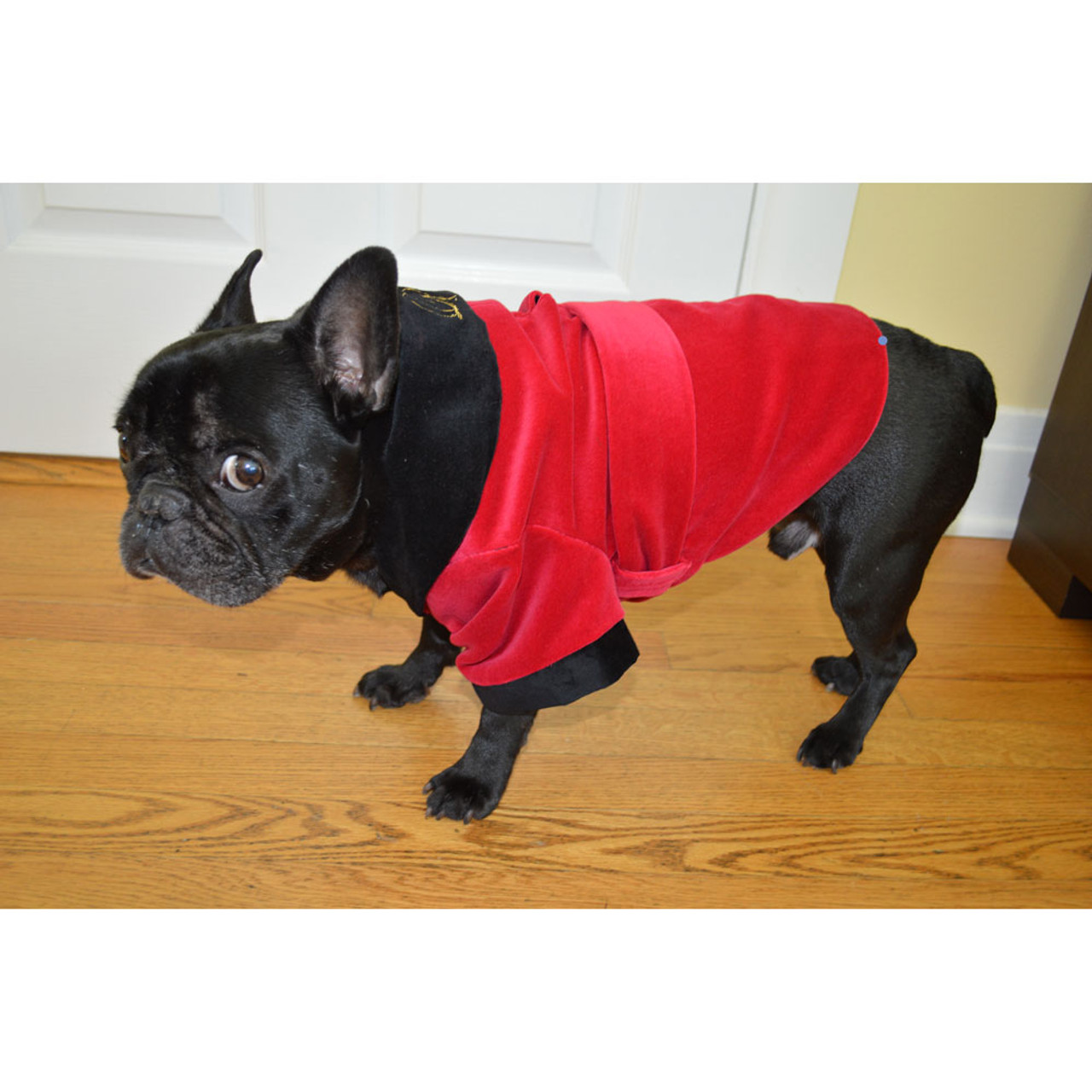 jacket for dogs velvet jacket for dogs jacket for dogs velvet jacket for dogs