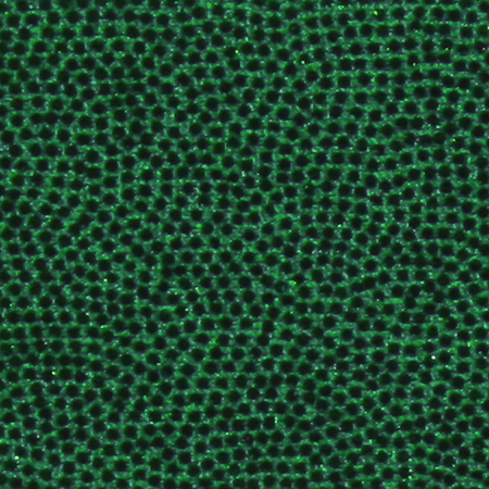 g324-emerald-mystic.jpg g324-emerald-mystic.jpg