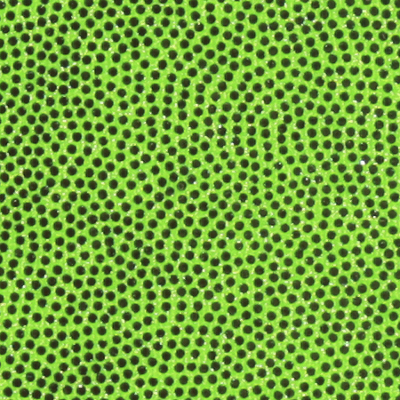 g325-neon-green-mystic.jpg g325-neon-green-mystic.jpg