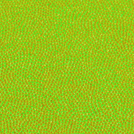 g327-lime-mystic.jpg g327-lime-mystic.jpg