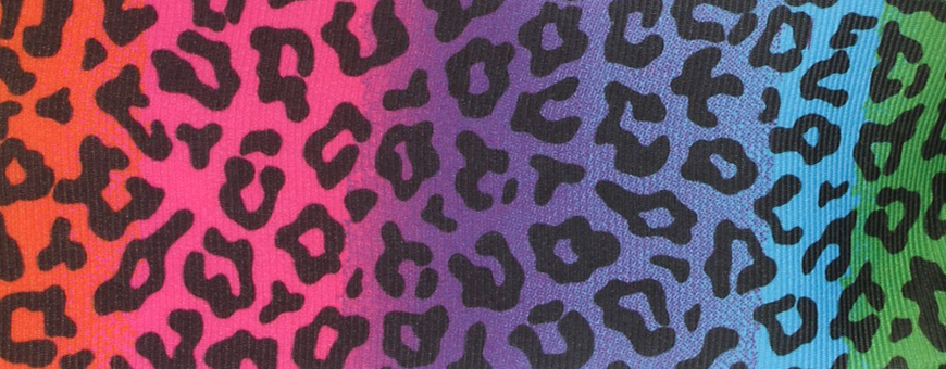 rainbowcheetah.jpg rainbowcheetah.jpg