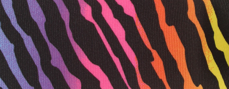 rainbowzebra.jpg rainbowzebra.jpg