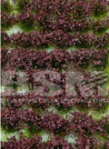 BEAR'S SCALE MODELING 200104 - Violet Flowers