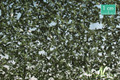 MININATUR 910-32 - 1/45+ Birch Foliage - Summer