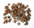 PLUSMODEL 226 - 1/35 Leaves - Maple