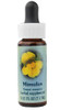 Flower Essence Healing Herb® Mimulus Supplement Dropper -- 0.25 fl oz