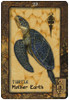 Animal Dreaming Oracle Cards by Scott Alexander King
