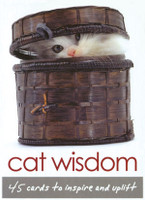 Cat Wisdom Cards by Toni Carmine Salerno