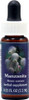 Flower Essence FES Quintessentials™ Manzanita Supplement Dropper -- 0.25 fl oz