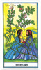 The Herbal Tarot Two of Cups