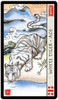 Feng Shui Tarot White Tiger Ace