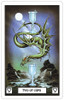 Dragon Tarot by Terry Donaldson Two of Cups