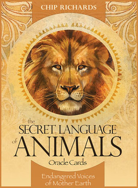 The Secret Language of Animals by Chip Richards