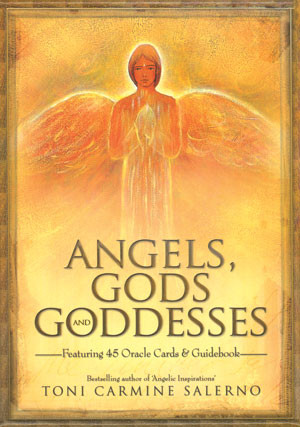 angels gods goddesses by toni carmine salerno