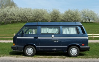 timmyabell91westy.jpeg timmyabell91westy.jpeg