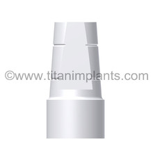 ZimVie 3i Compatible External Hex 6.0mm plastic straight locking implant abutment with titanium screw.