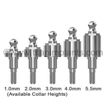 Biomet 3i Certain compatible ball abutment