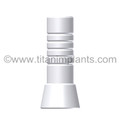Biomet 3i TG Compatible Titan Implants Design Hex Abutment Plastic Sleeve With Ti Screw ( Hex And Non Hex) (TN-48TGIAPS)