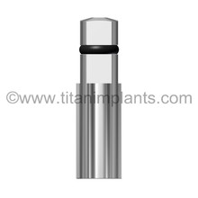Straumann-compatible 4.8mm Tissue Level / SynOcta by Titan Implants