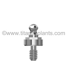 BioHorizons-compatible 4.0mm External Hex Ball Head Abutment by Titan Implants