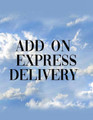 Express shipping add- on