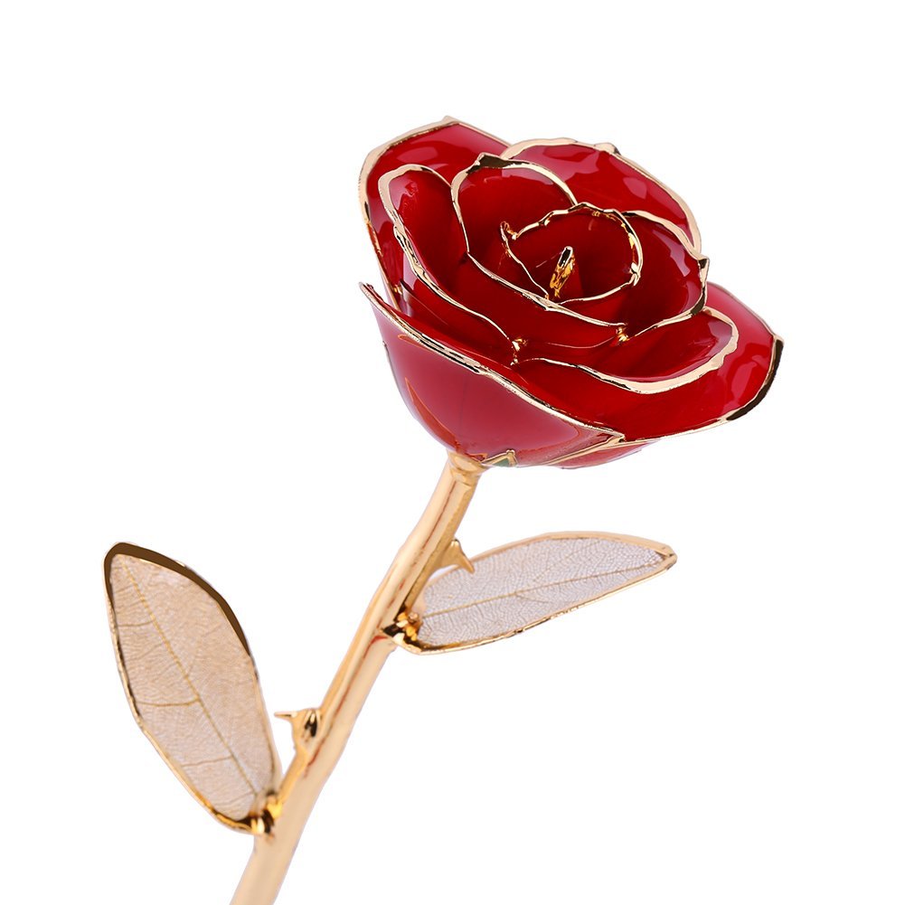 61hepbmvcvl.-sl1001-.jpg 61hepbmvcvl.-sl1001-.jpg